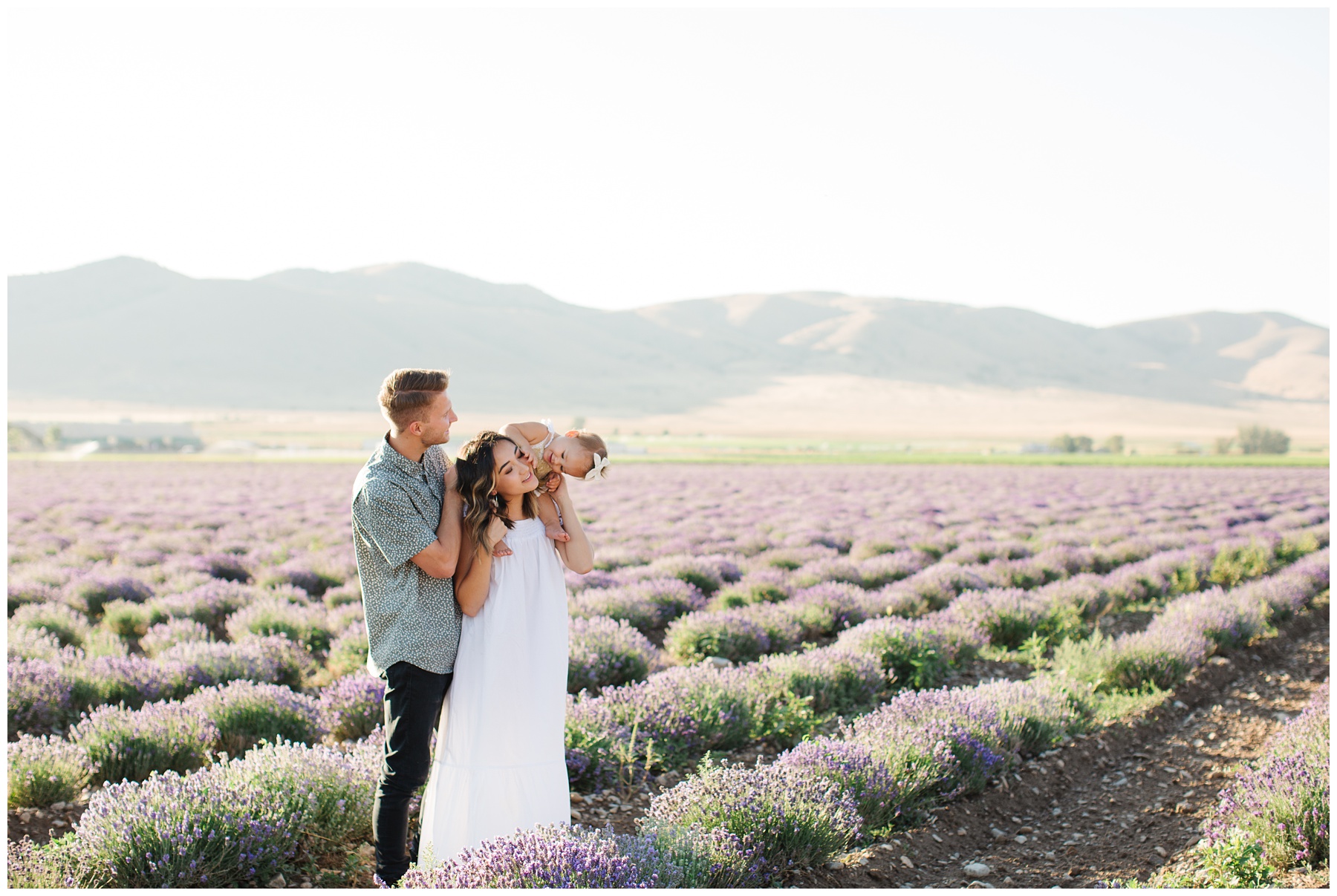 lavender field family photo
